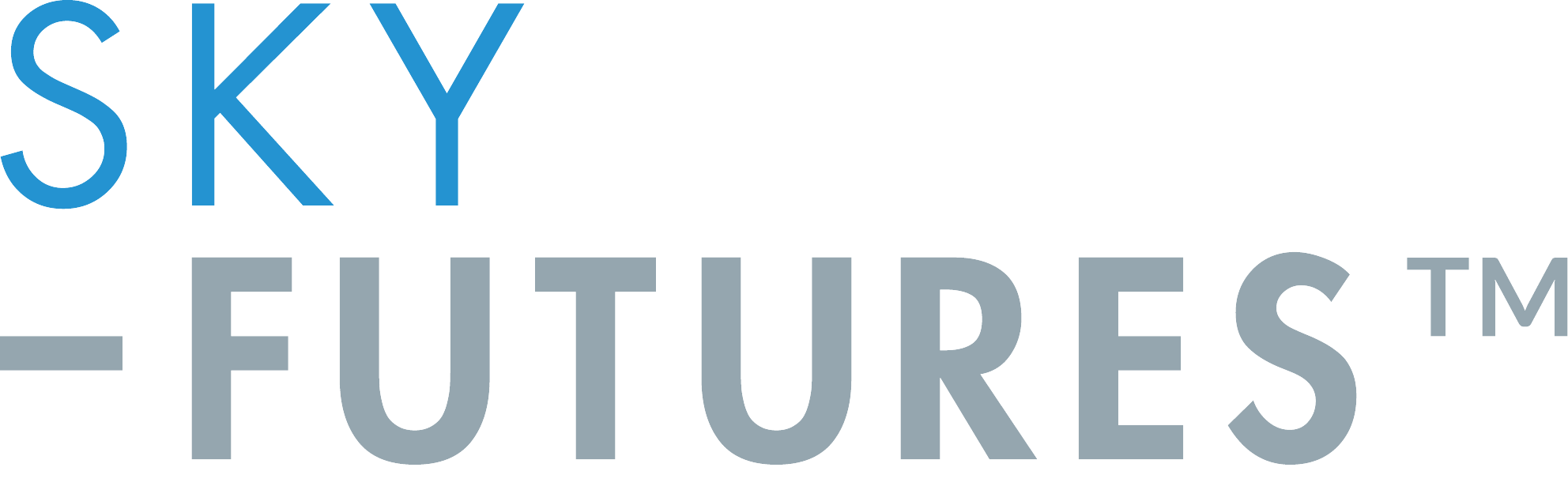 Sky-Futures Africa logo
